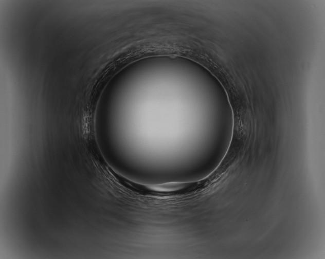X0000088461490200705221332