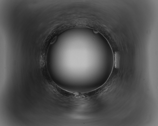 X0000088461491200705221332