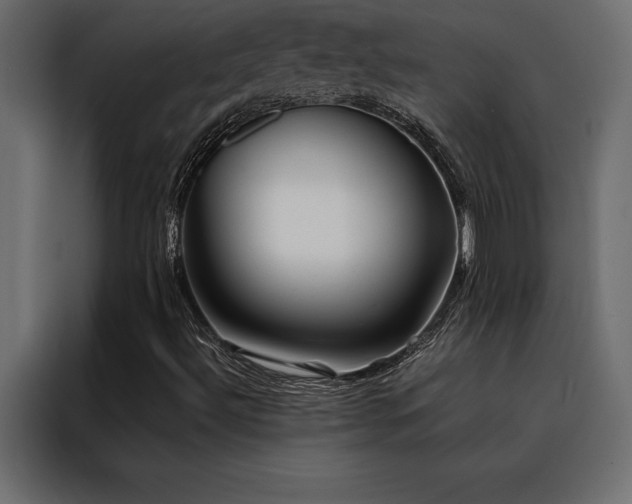 X0000088461492200705221332