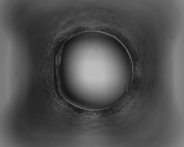 X0000088461493200705221332
