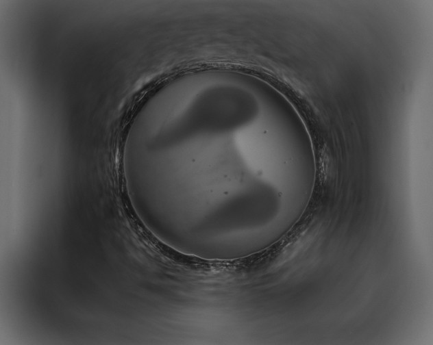 X0000088461494200705221332
