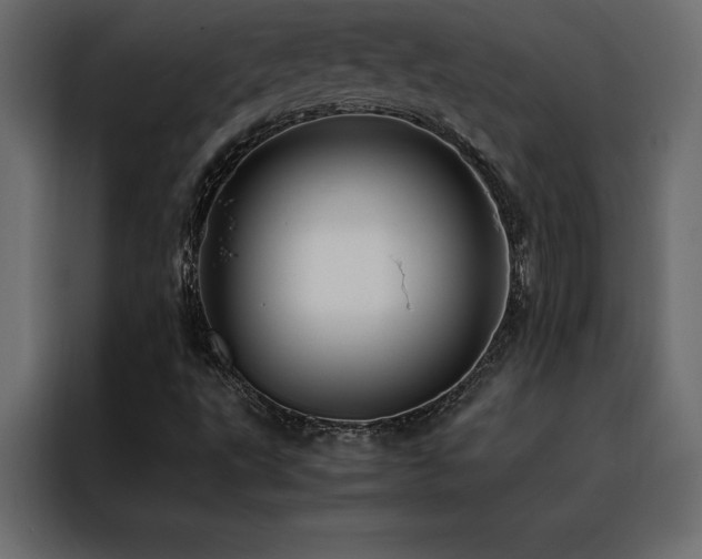 X0000088461495200705221332