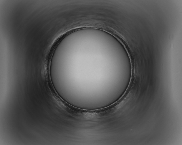 X0000088461498200705221332