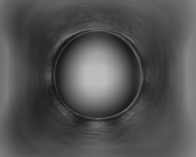 X0000088461499200705221332