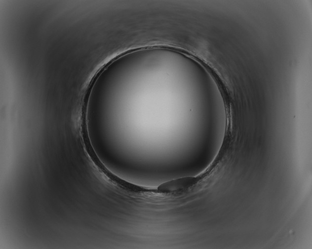 X0000088461500200705221332