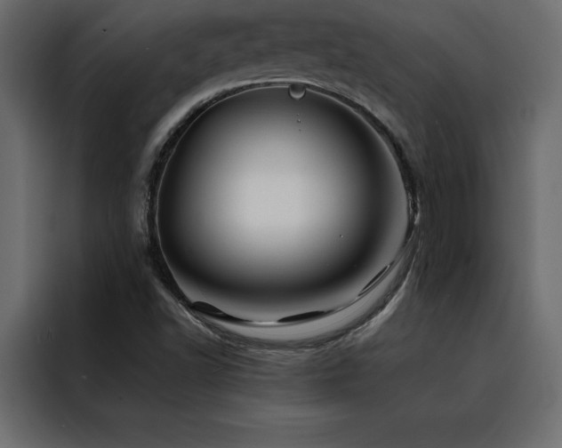 X0000088461502200705221332