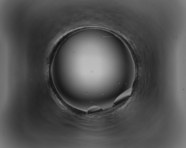 X0000088461503200705221332