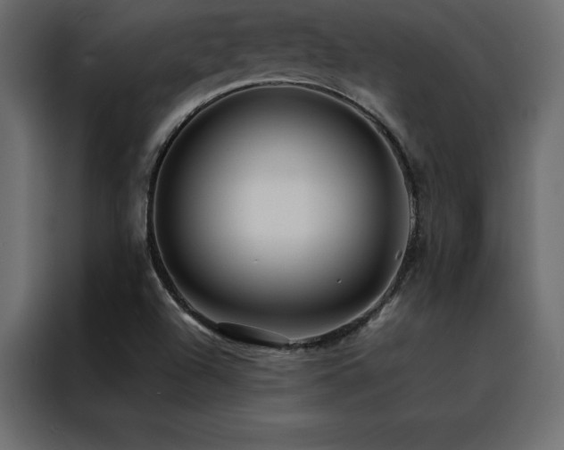 X0000088461504200705221332