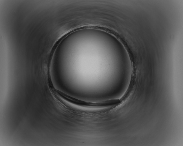 X0000088461505200705221332