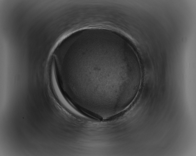 X0000088461506200705221332
