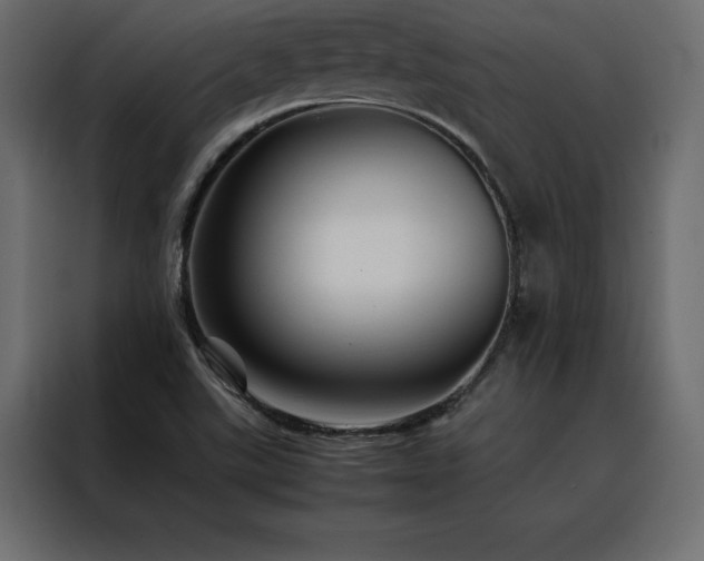 X0000088461507200705221332