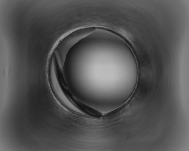 X0000088461508200705221332