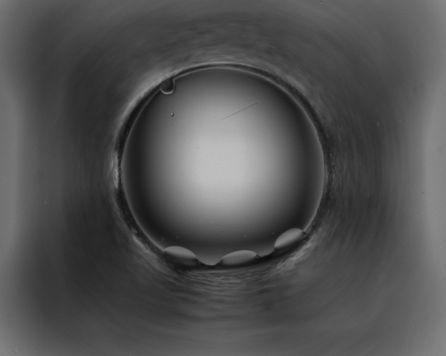 X0000088461509200705221332