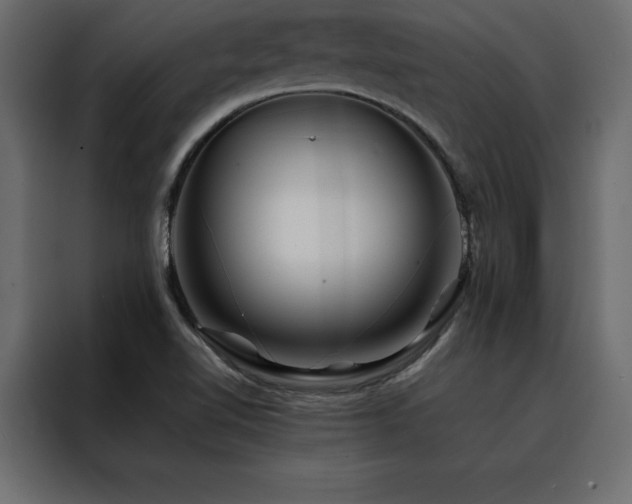 X0000088461510200705221332