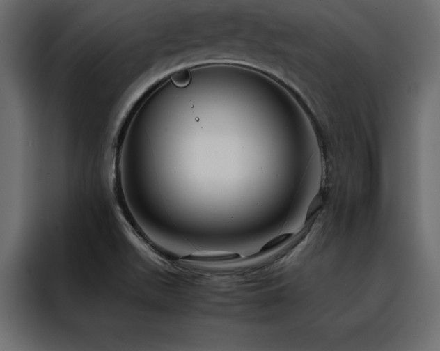 X0000088461511200705221332