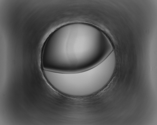 X0000088461512200705221332