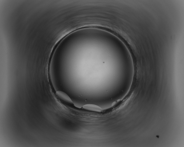 X0000088461513200705221332
