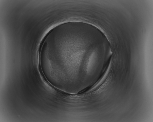 X0000088461515200705221332