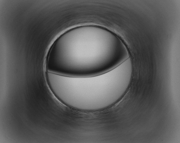 X0000088461516200705221332