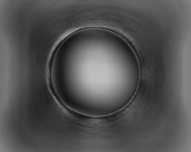 X0000088461517200705221332