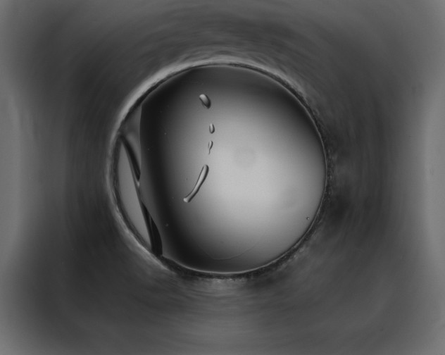 X0000088461518200705221332