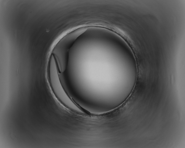X0000088461520200705221332