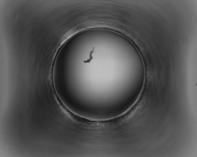 X0000088461521200705221332