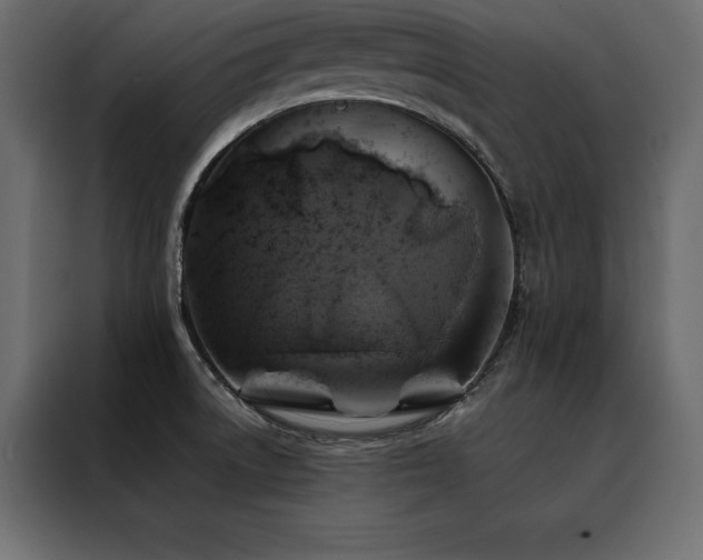 X0000088461522200705221332