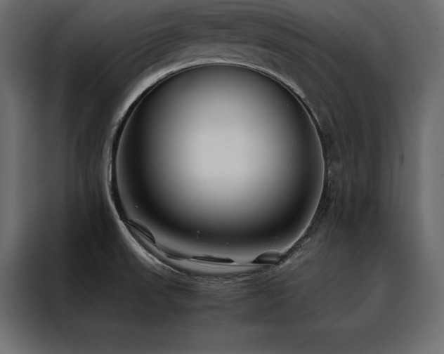 X0000088461523200705221332