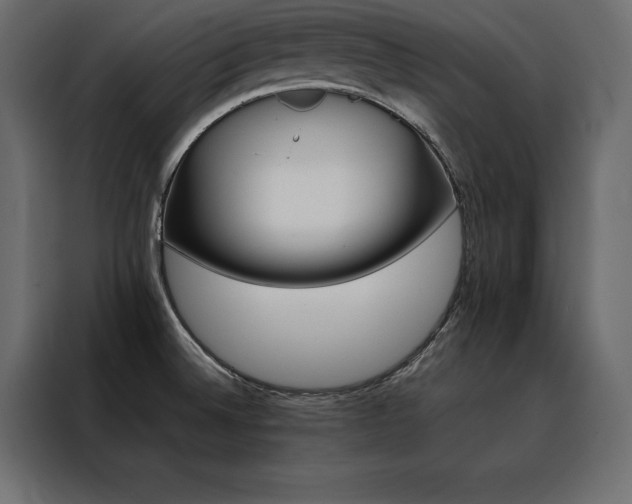 X0000088461524200705221332