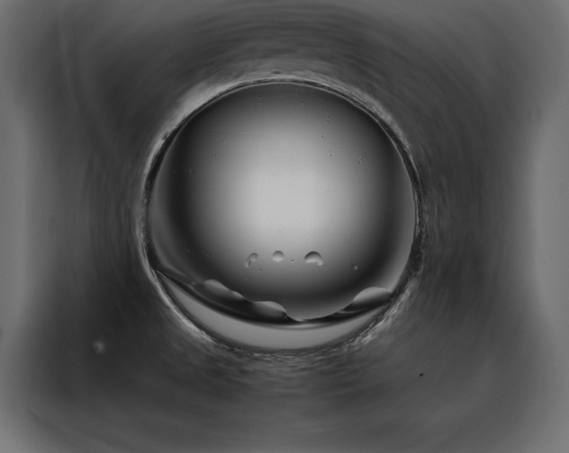 X0000088461525200705221332
