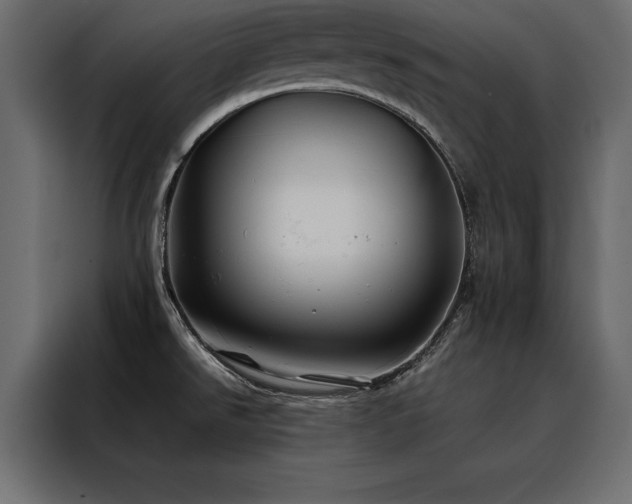 X0000088461526200705221332