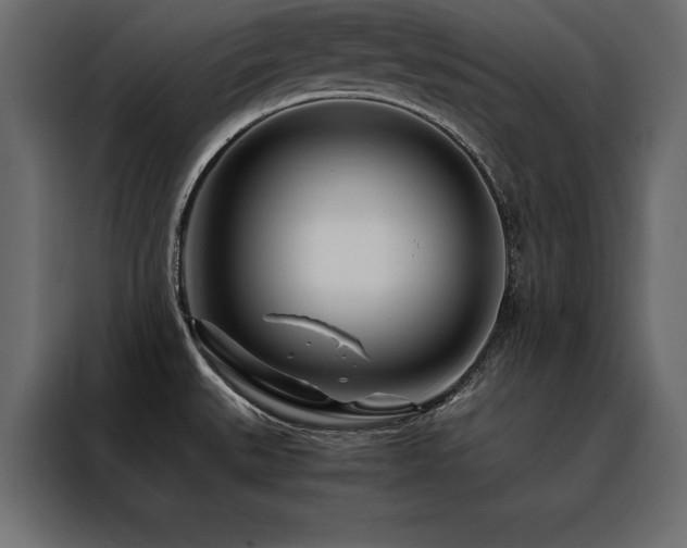 X0000088461527200705221332