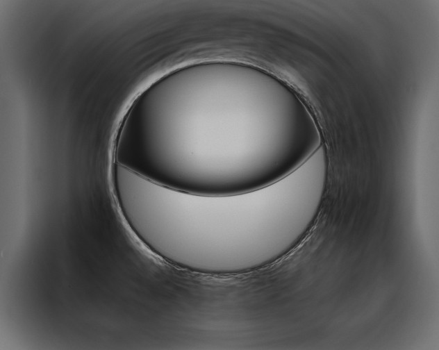 X0000088461528200705221332