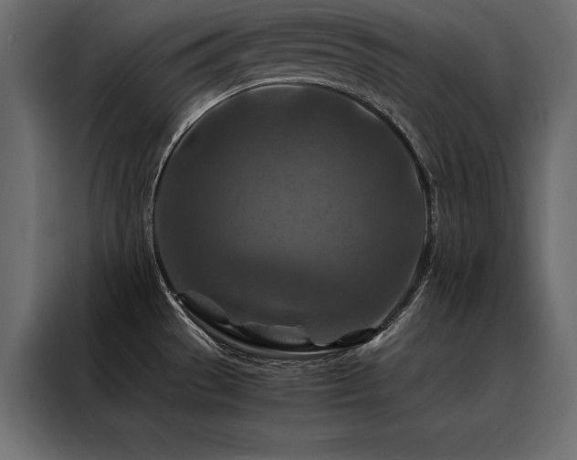 X0000088461529200705221332