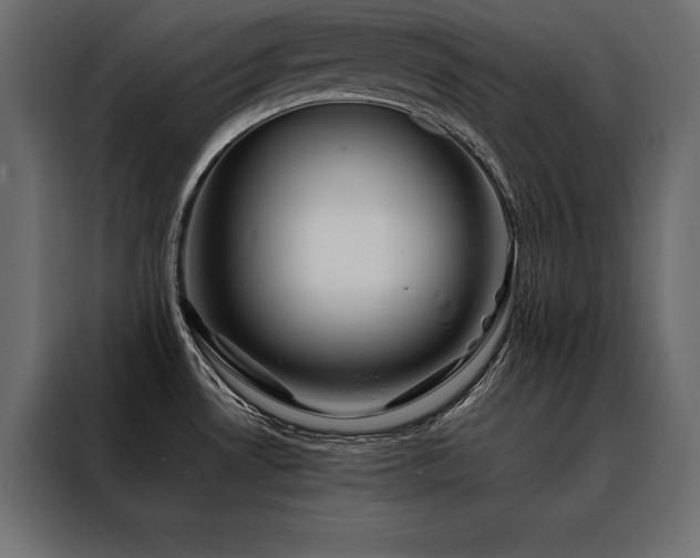 X0000088461530200705221332
