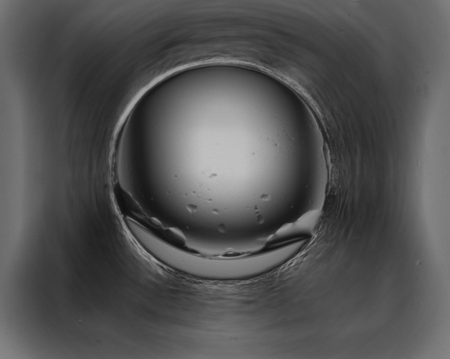 X0000088461532200705221332