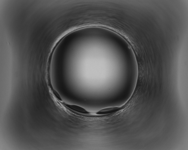 X0000088461534200705221332
