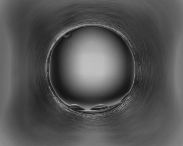 X0000088461535200705221332