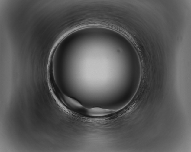 X0000088461536200705221332
