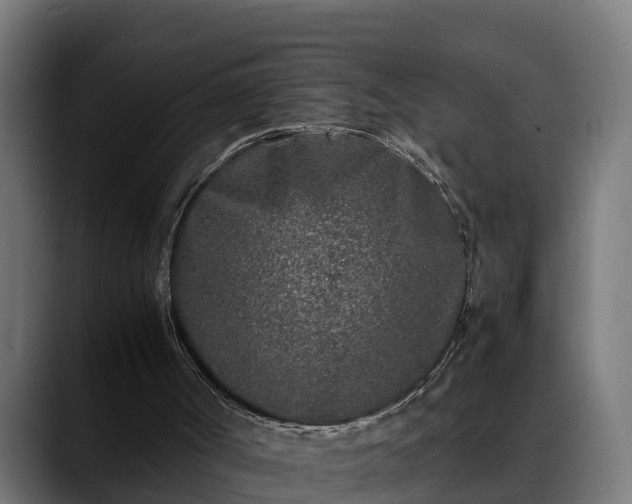 X0000088460002200705291539