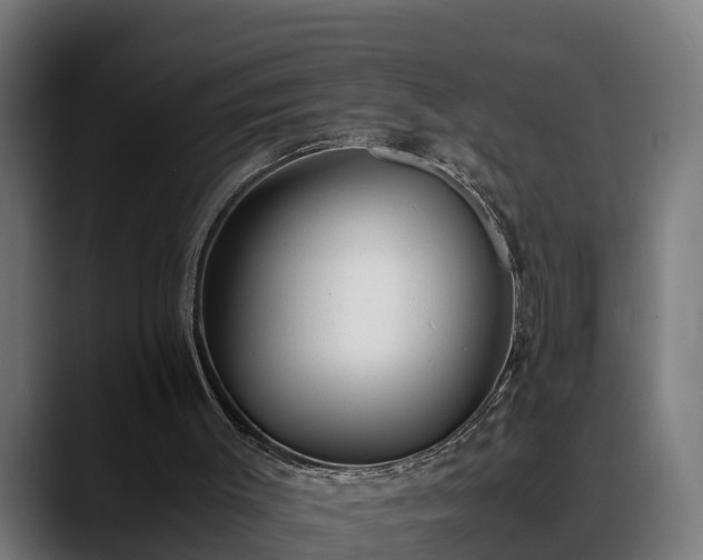 X0000088460003200705291539