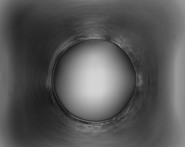 X0000088460004200705291539