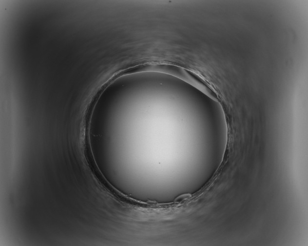 X0000088460005200705291539