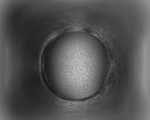 X0000088460006200705291539