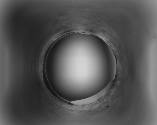 X0000088460007200705291539