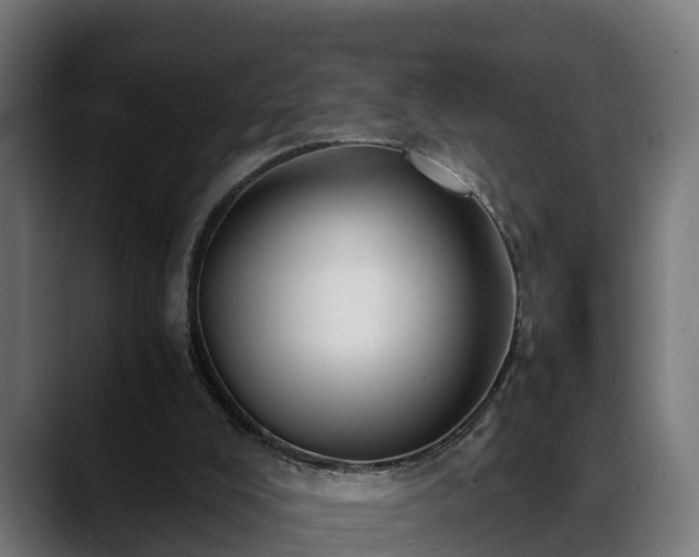 X0000088460008200705291539