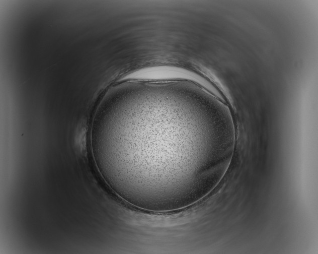 X0000088460010200705291539