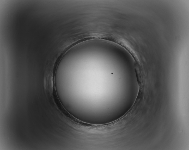 X0000088460011200705291539