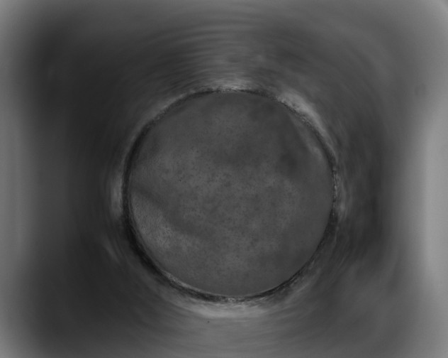 X0000088460012200705291539